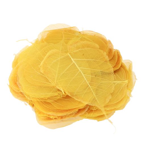 položky Kostrované listy Bodhi pre kreatívne dekorácie