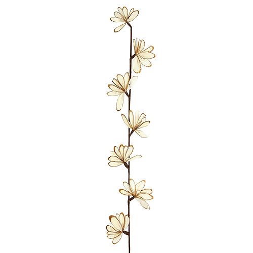 Floristik24 Sola Chips Sunny Stick hnedá, biela 6 ks.