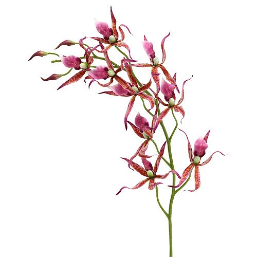 Floristik24 Pavúčie orchidey ružovo-oranžové 108cm 3ks