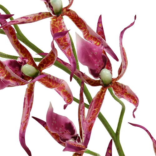 položky Pavúčie orchidey ružovo-oranžové 108cm 3ks