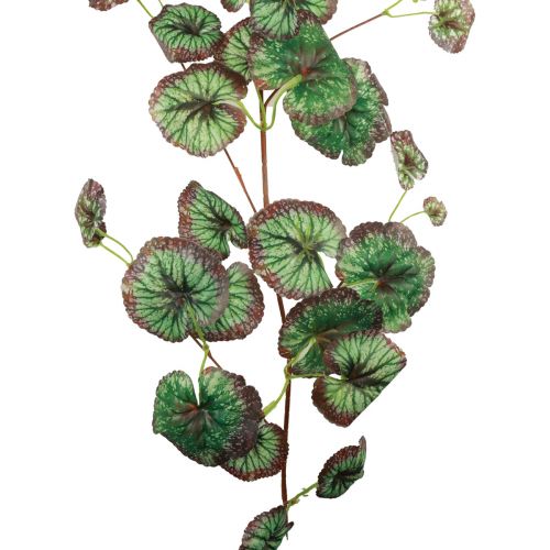 položky Saxifraga dekoračná girlanda umelá zelená Saxifraga 152cm