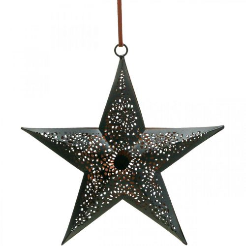 položky Vianočný vešiak Star Metal Star Black H19cm