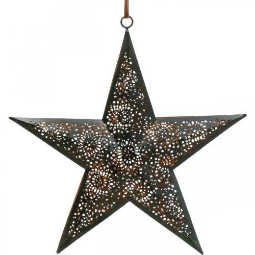 Floristik24 Vianočný vešiak hviezda kovová hviezda čierna V25,5cm