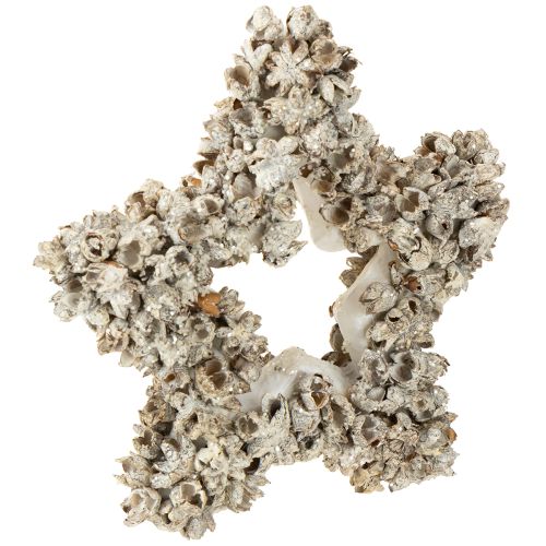 Hviezda na zavesenie vianočná dekorácia biela, trblietka Ø15cm