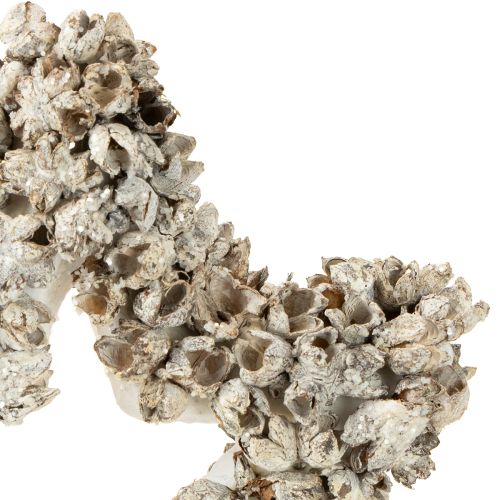 položky Hviezda na zavesenie vianočná dekorácia biela, trblietka Ø15cm