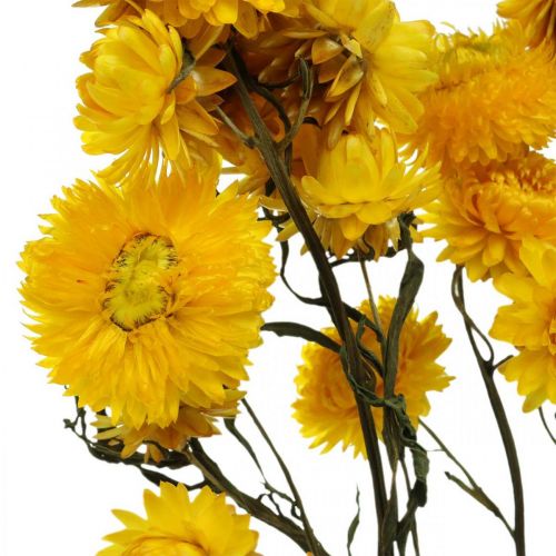 položky Sušený kvet Žltý slamený kvet Helichrysum Suchá dekorácia zväzok 50cm 45g