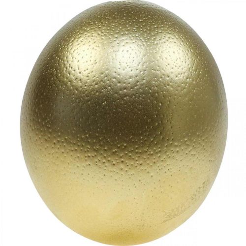 Floristik24 Dekorácia pštrosie vajíčko vyfúknuté Veľkonočná dekorácia zlatá Ø12cm V14cm