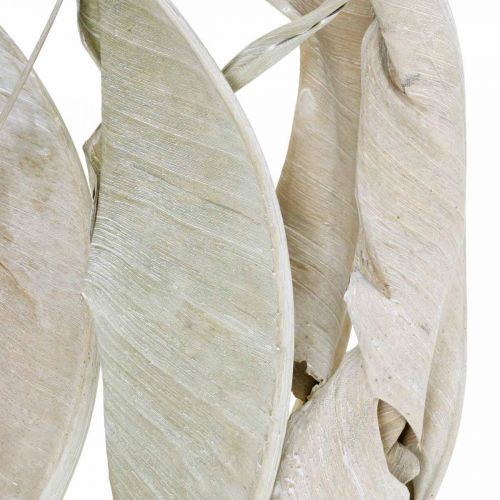 položky Listy Strelitzia umyté biele sušené 45-80cm 10p