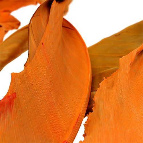 položky Listy Strelitzia oranžové 120cm 20p