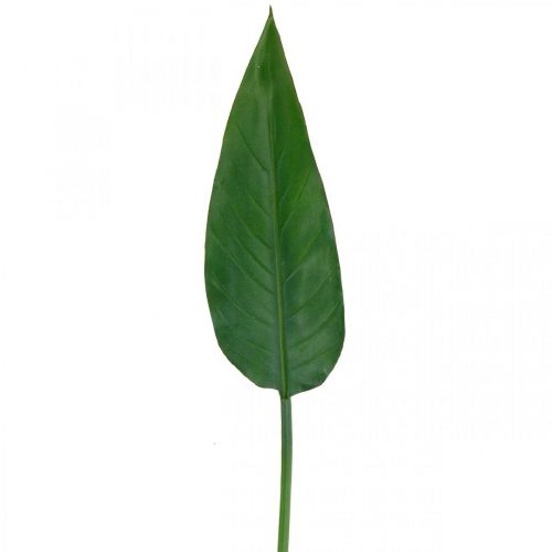 položky Strelitzia Papagáj Kvet Dekoračný list Strelitzia List Zelená L81cm