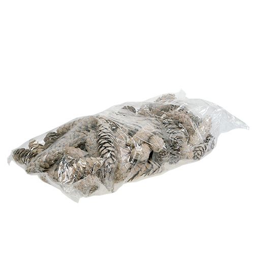 položky Strobus kužele 15cm - 20cm bielené 50 ks