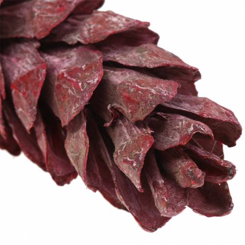 položky Strobus šišky prírodná dekorácia červená 15cm - 20cm 50ks