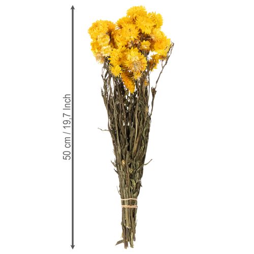 položky Sušený kytičný kvet slamienky žltej (Helichrysum), 100 g