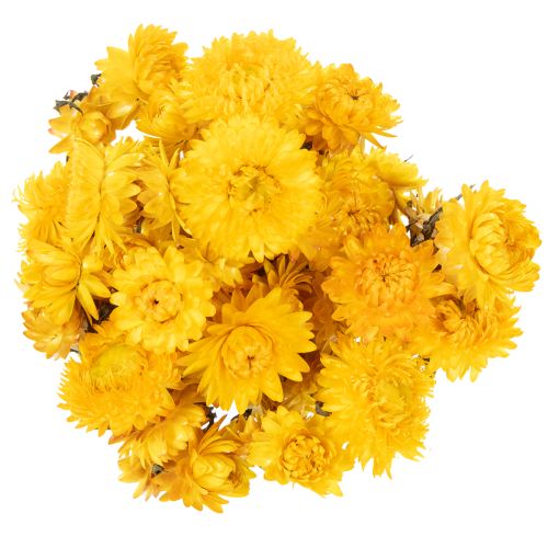 položky Sušený kytičný kvet slamienky žltej (Helichrysum), 100 g