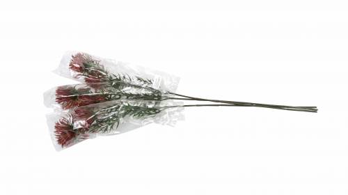 Floristik24 Xantiová vetva Bordeaux 69cm 3ks