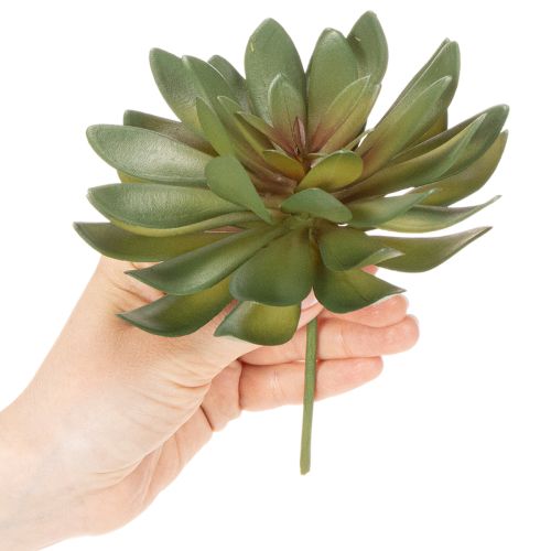 Umelý sukulent ako dekoračná rastlina, zelený, 18 cm, 3 kusy | Floristik24.sk
