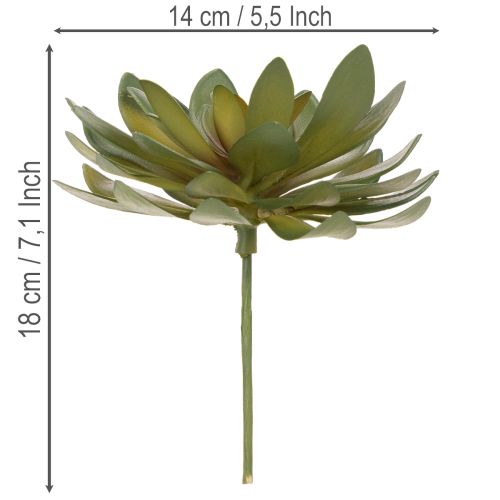 Umelý sukulent ako dekoračná rastlina, zelený, 18 cm, 3 kusy | Floristik24.sk