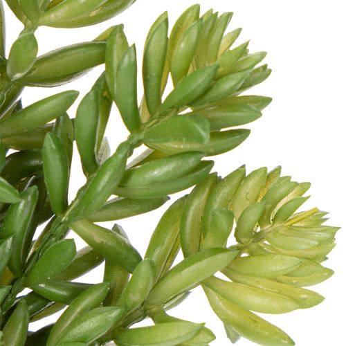 položky Umelý sukulentný kvet pre nenáročný dizajn obytných a kancelárskych priestorov, 15 cm, 5 kusov