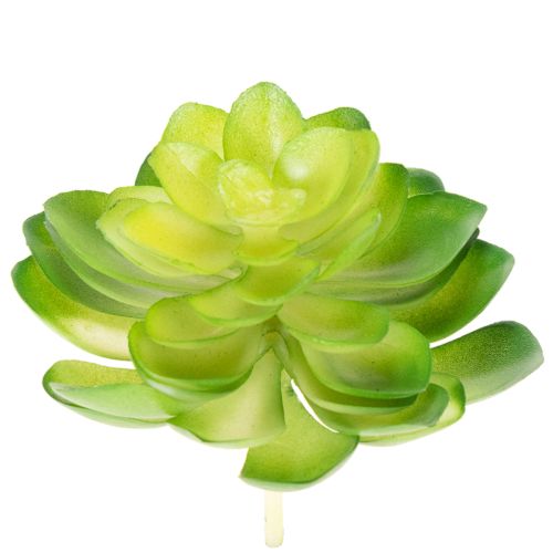 položky Umelá sukulentná rastlina, zelená, na dekoráciu do misky alebo vázy, 10 cm, 4 kusy