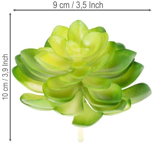 položky Umelá sukulentná rastlina, zelená, na dekoráciu do misky alebo vázy, 10 cm, 4 kusy