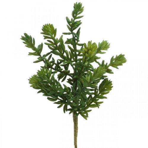 Floristik24 Šťavnatá umelá zelená rastlina na palicu 25 cm zelená 2ks