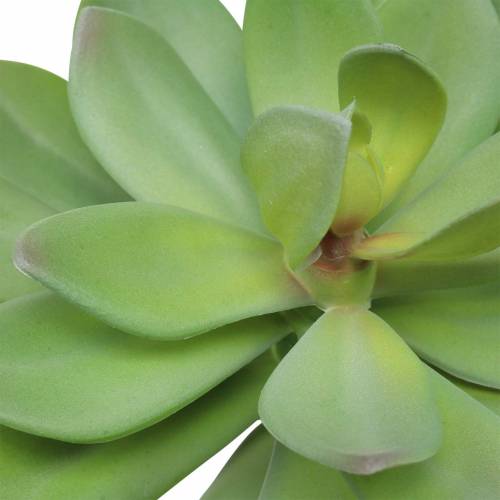 položky Umelá sukulentná zelená 27cm