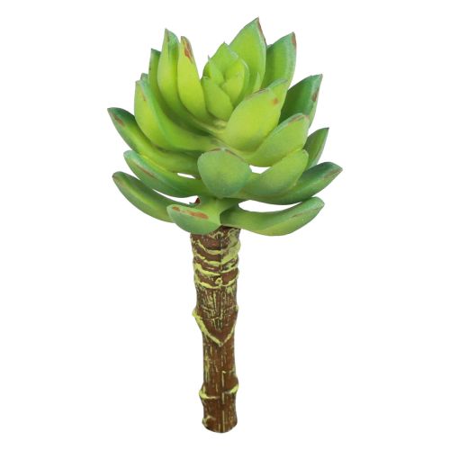 Šťavnatá Echeveria umelá zelená rastlina zelená Ø5,5cm 12,5cm