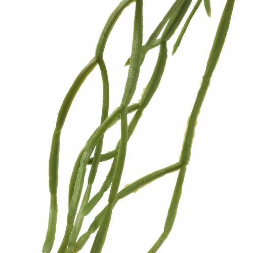 položky Sukulentný závesný umelý zelený 110cm