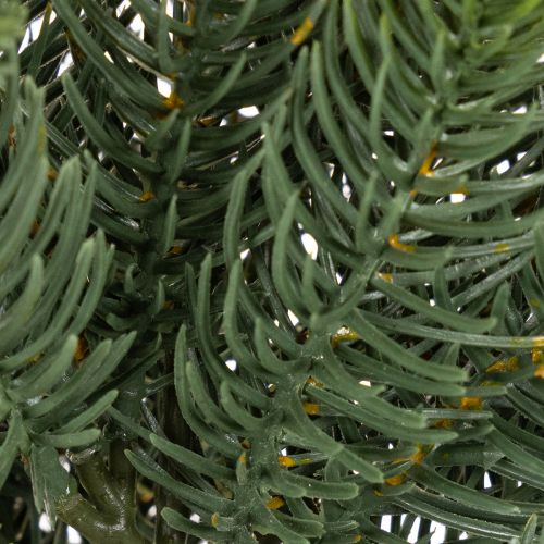 Umelá jedľová vetvička, slávnostná dekorácia okna, 50 cm, 3 kusy | Floristik24.sk