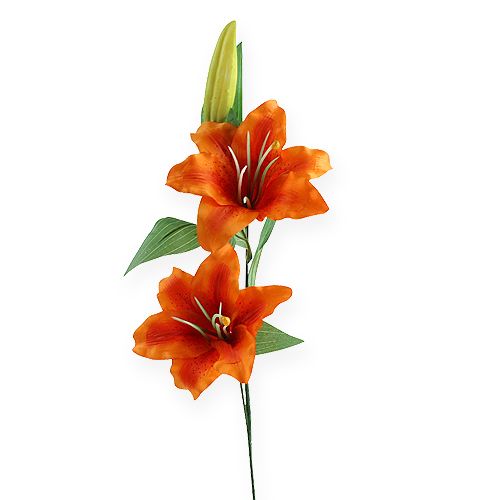 Floristik24 Tiger Lily Orange 47 cm