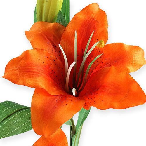 položky Tiger Lily Orange 47 cm