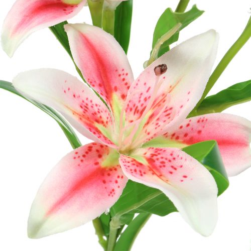 položky Tiger Lily Pink, White 60cm