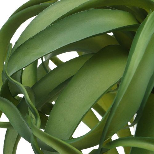 položky Tillandsia Umelá zelená rastlina na napichovanie Large Green Ø40cm