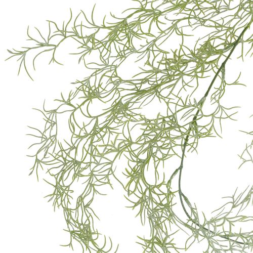 Floristik24 Vešiak Tillandsia zelený 160cm