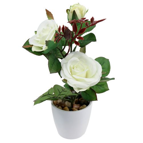 Floristik24 Stolová dekorácia ruža v kvetináči biela 24cm