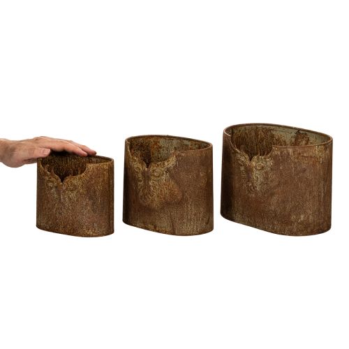 Kvetináč jeleň kovový oválny rustikálny sada 3 kusov 24 cm | Floristik24.sk