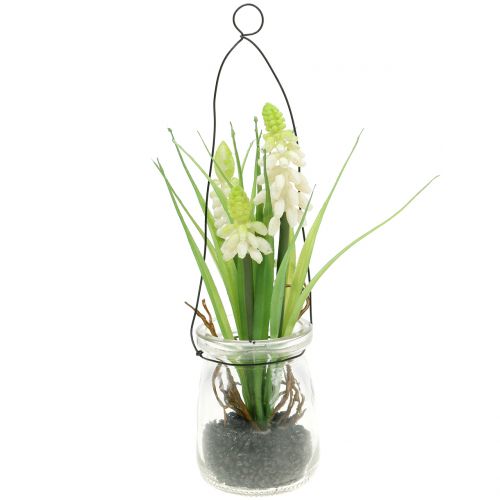 Hroznový hyacint biely v pohári na zavesenie V22cm