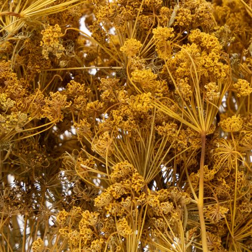 položky Kytica sušených kvetov s jemnými kvietkami pre romantickú vintage dekoráciu 55 cm