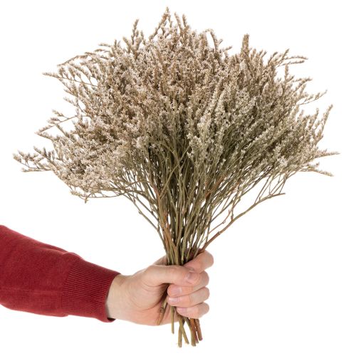 Sušený kvet plážovej levandule kytica Statice nature 1kg | Floristik24.sk