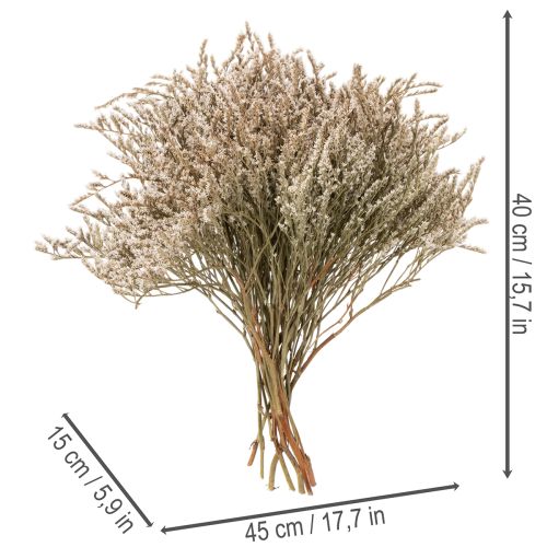 Sušený kvet plážovej levandule kytica Statice nature 1kg | Floristik24.sk