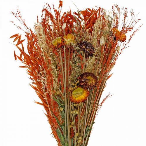 Floristik24 Sušené kvety kytica oranžová mix 42cm
