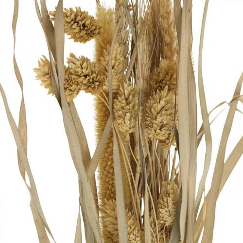 položky Sušené trávy a obilniny prírodné v zväzku sušená kytica 48cm