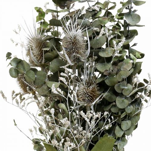 položky Kytica zo sušených kvetov eukalyptová kytica z bodliakov 45-55cm 100g