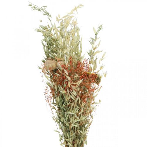 položky Kytica sušených kvetov obilnín a maku suchá dekorácia 60cm 100g