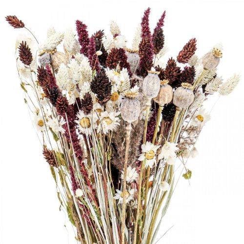 Floristik24 Kytica sušených kvetov letná dekorácia sušených kvetov 58cm