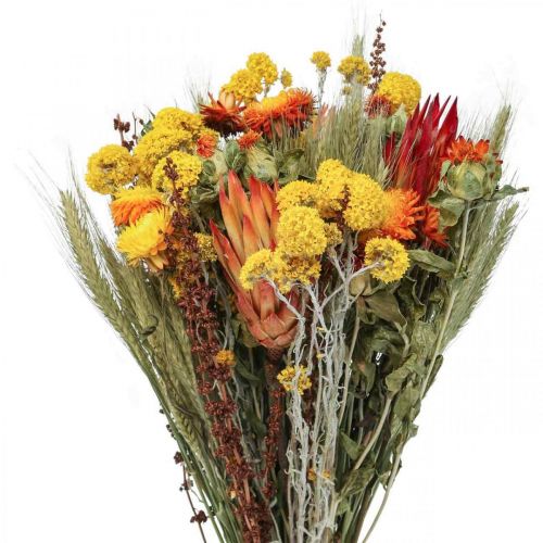 Floristik24 Kytica sušených kvetov Kytica lúčnych kvetov Pomaranč V50cm 300g