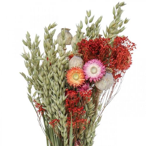 Floristik24 Kytica sušených kvetov Kytica lúčnych kvetov Červená V50cm 150g