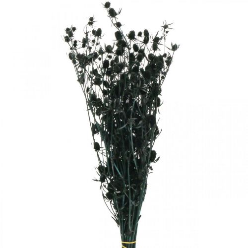 Floristik24 Sušený bodliak Čierna jahoda Sušené kvety 100g