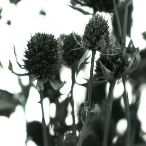 položky Sušený bodliak Čierna jahoda Sušené kvety 100g