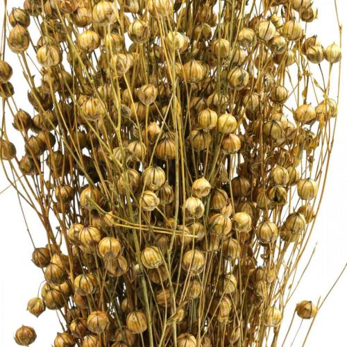 položky Sušená tráva sušená ľan olivovozelená H50–55cm 80g